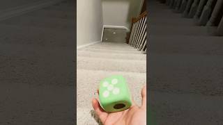 Ringtone evolution balls dice funnyvideo viral trending fyp [upl. by Remark]