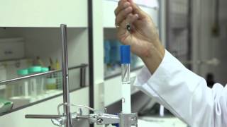 Gel filtration Chromatography [upl. by Ainsworth838]