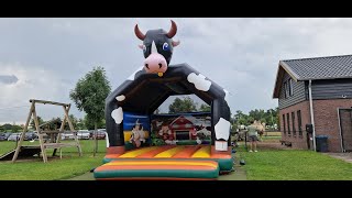 Cow onjump at playgroundcornmaze [upl. by Eelime]