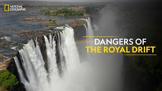 Dangers of the Royal Drift  Something Bit Me  Full Episode  S1E5  National Geographic [upl. by Aver89]