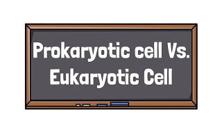 Prokaryotic Vs Eukaryotic Cell  Similarities amp Differences  Types of cells [upl. by Sunny517]