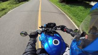 Suzuki GSXS1000 vs this deer [upl. by Maxma]