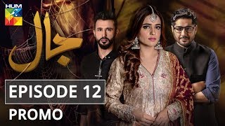 Jaal Episode 12 Promo HUM TV Drama [upl. by Alaham]