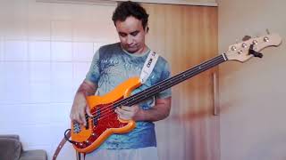 Contra Baixo Precision Bass 4 Strings Fretless Strinberg quotGiordani Borgesquot [upl. by Ahtnamas]