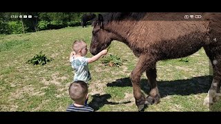 ХРИСТОС ВОСКРЕС ВІТАЄМО ВАС З ПАСХОЮ НАШІ КОНИКИ [upl. by Liss]