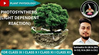 PHOTOSYNTHESIS LIGHT DEPENDENT REACTION [upl. by Annia919]