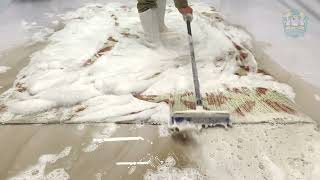 Satisfying Carpet Cleaning ASMR  Clean Dirty Rugs [upl. by Goldstein]