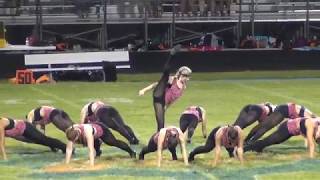 High School Dance Team Performs Cancer Awareness Dedication [upl. by Hervey]