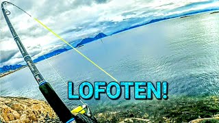 Shore fishing on Lofoten Norway [upl. by Oirevlis]