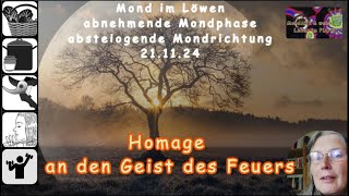 MondART  Eine Homage an den Geist des Feuers [upl. by Conant]