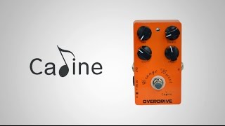 Caline Orange Burst CP18 Demo [upl. by Eidnarb]