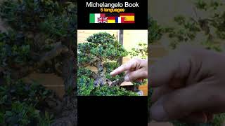 Bonsai School  Michelangelo Book bonsaibonsaicourses [upl. by Ydnil]