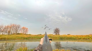 Solo Duck Hunting a Tiny Hidden Pond PARK RANGER INVOLVED [upl. by Eilis]