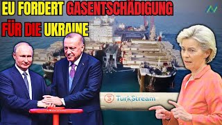 TurkStream bedroht Kiew Warum kritisiert die EU die Türkei kauft aber Gas von Russland [upl. by Htilil171]