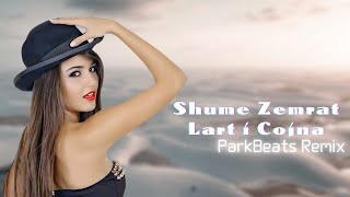 Landi Roko  Shume Zemrat Lart i Çojna  Remix by PARK [upl. by Barvick]