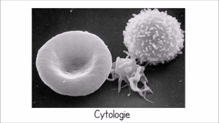 Chapitre 2  méthodes détude de la cellule 1ere partie  Cytologie [upl. by Pouncey]