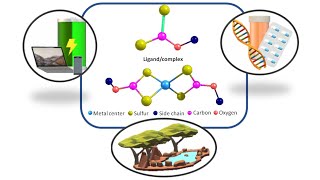 Applications of Xanthate Metal Compounds in the Last Ten Years A Review [upl. by Jacquenette631]