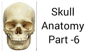 Skull bones peculiar points Part 2  Emissary veins  anatomy videos [upl. by Arnon]