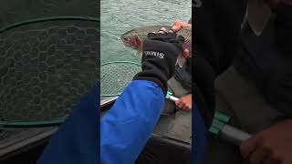 Fishing the Kenai River in Alaska [upl. by Attelra334]