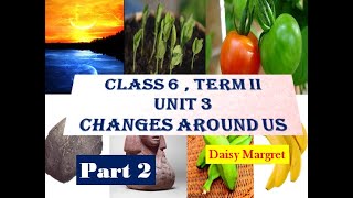 6th Std Term 2 UNIT 3CHANGES AROUND US  Part 2  Samacheer syllabus  Splendiferous Science [upl. by Ava945]