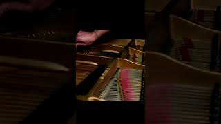 String Broke During Liszt Mazeppa live [upl. by Agace328]