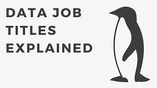 Four Common Data Job Titles Explained [upl. by Tenay]