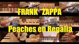 Frank Zappa quotPeaches en Regaliaquot Cover [upl. by Aihsatan]