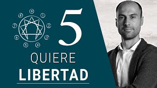 ENEATIPO 5  El que quiere ser Libre  27 SUBTIPOS ENEAGRAMA [upl. by Macdonell]