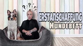 Erstanschaffung Hundebett  Welches Hundebett für den Anfang [upl. by Nikolas310]