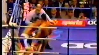 prince naseem hamed highlights [upl. by Schoenfelder325]