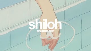 Shiloh Lofi Mix [upl. by Ailhad895]