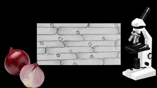 Onion peel diagram [upl. by Esinev]