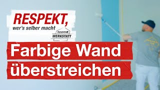 Farbige Wand wieder weiß streichen  toom Werkstatt [upl. by Chaffee601]