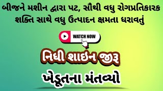 quotજીરાની શ્રેષ્ઠ જાત ‘નિધી શાઇન’ સાથે મેળવો જોરદાર પરિણામquot [upl. by Abdu]