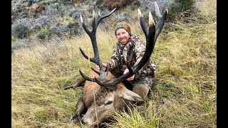 Getting it done 13 point red stag hunting NZ [upl. by Dwayne281]