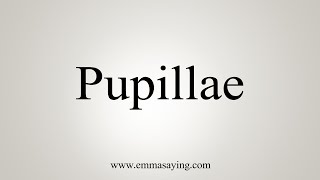 How To Say Pupillae [upl. by Linda101]