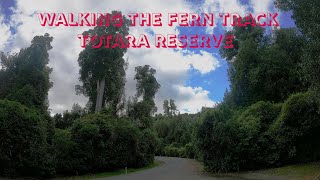 Walking the Fern Track  Totara Reserve  Pohangina Valley [upl. by Clippard]