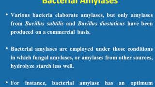 Fermentative production of enzymesamylase and protease [upl. by Aivatnwahs]