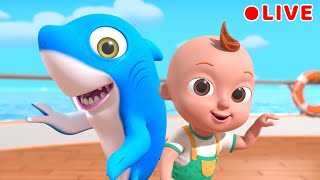 Baby Shark  more Nursery Rhymes  Beep Beep Nursery Rhymes amp Baby Songs [upl. by Anomer]