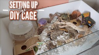 Setting up my DIY Hamster Cage [upl. by Nylatsirhc]