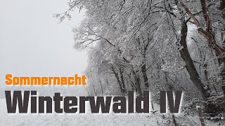 SOMMERNACHT quotWINTERWALD Teil 4quot  OFFICIAL VIDEO [upl. by Ailegra]