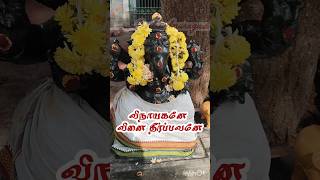 Vinaayagane vinayagar songs in tamil pillaiyar songs in tamil vinayagar songs tamil pillaiyar [upl. by Enoob345]