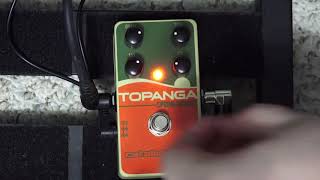 Catalinbread Topanga Spring Reverb Guitar Effects Pedal Demo [upl. by Dedie161]