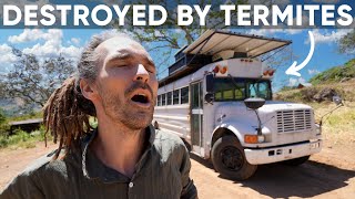 Everything I Built Got Destroyed By Termites  Costa Rica Renovations Episode 4 [upl. by Sinylg]