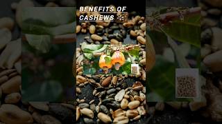 Benefits of eating Cashews shorts healthyfood cashew facts benefits youtubeshorts [upl. by Jacinda]