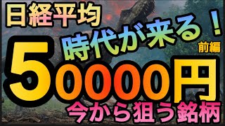 （株式投資）日経平均50000円時代を先取り（前編） [upl. by Danyelle]