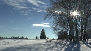 Winterzauber zwischen Hornberg und dem Kalten Feld [upl. by Trik]