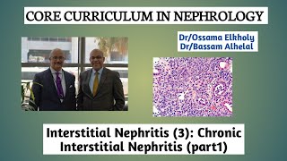 Interstitial Nephritis3 Chronic Interstitial Nephritis part1 DrOssama Elkholy [upl. by Ydospahr]