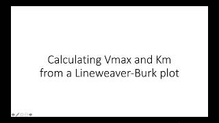 How to calculate Vmax and Km from a LineweaverBurk plot [upl. by Eniamaj]