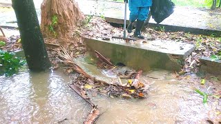 Clearing Flooded Streets After Heavy Rains Drainage by Clearing Drains [upl. by Heins]